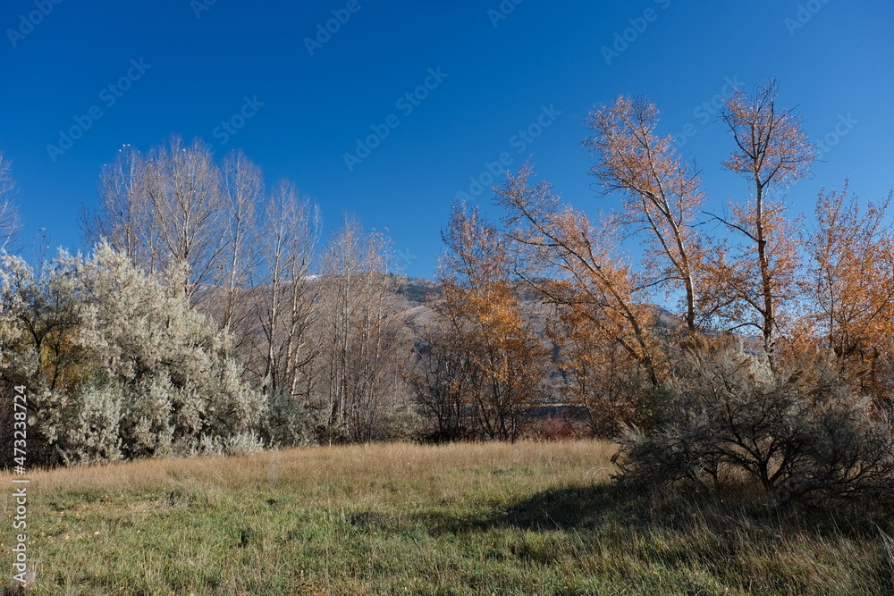 Kamloops Parks