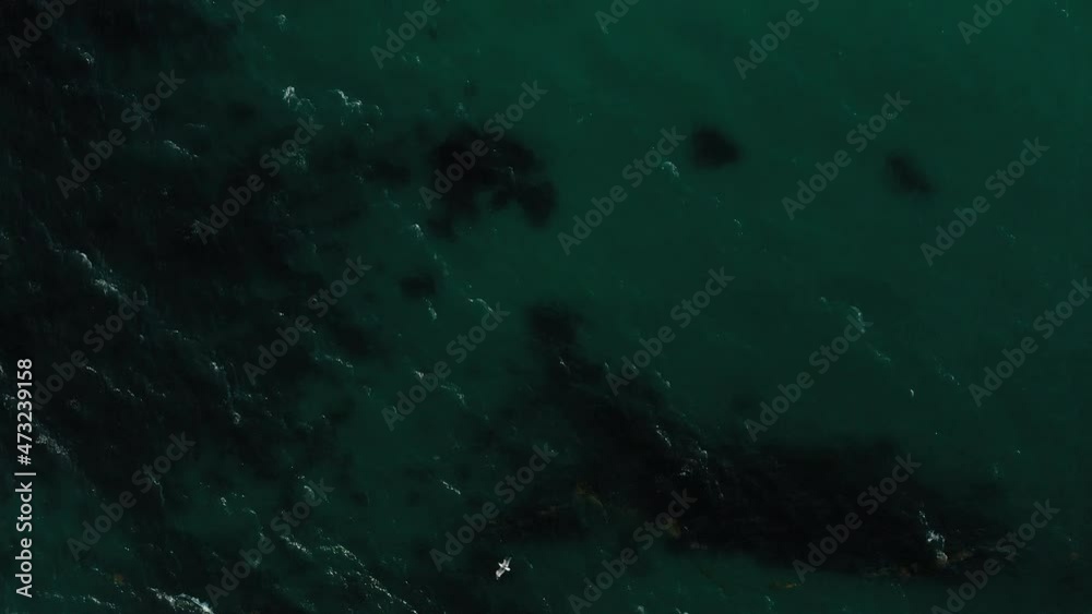 Aerial View Of Turquoise Ocean With Waves Crashing On Rocky Outcrops Revealed. drone tilt-up Aerial View Of Turquoise Ocean With Waves Crashing On Rocky Outcrops Revealed. drone tilt-up