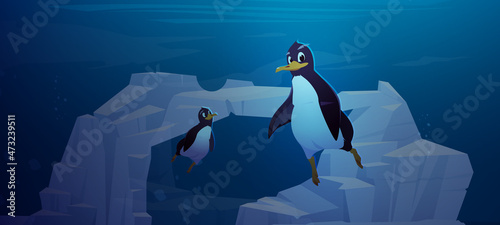 Penguins swim underwater in antarctic ocean. Vector cartoon illustration of marine swimming birds in sea in Antarctica with icebergs and glaciers under water