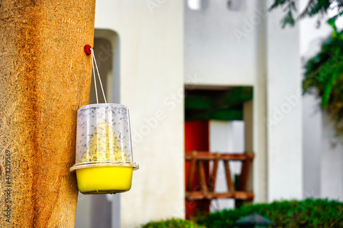 The hand trap for flies of yellow plastic hangs on a tree against a background of greenery photo