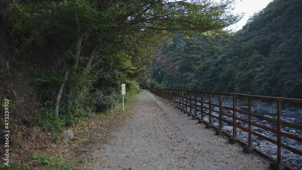 Autumn Leaves Falling over Takedao Hiking Trail on Old Fukuchiyama Line, Japan Autumn Leaves Falling over Takedao Hiking Trail on Old Fukuchiyama Line, Japan