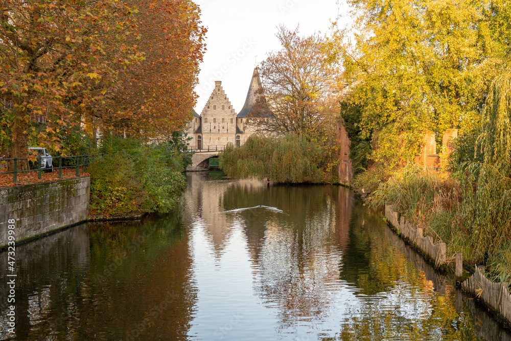 Fototapeta premium The three towers of Ghent