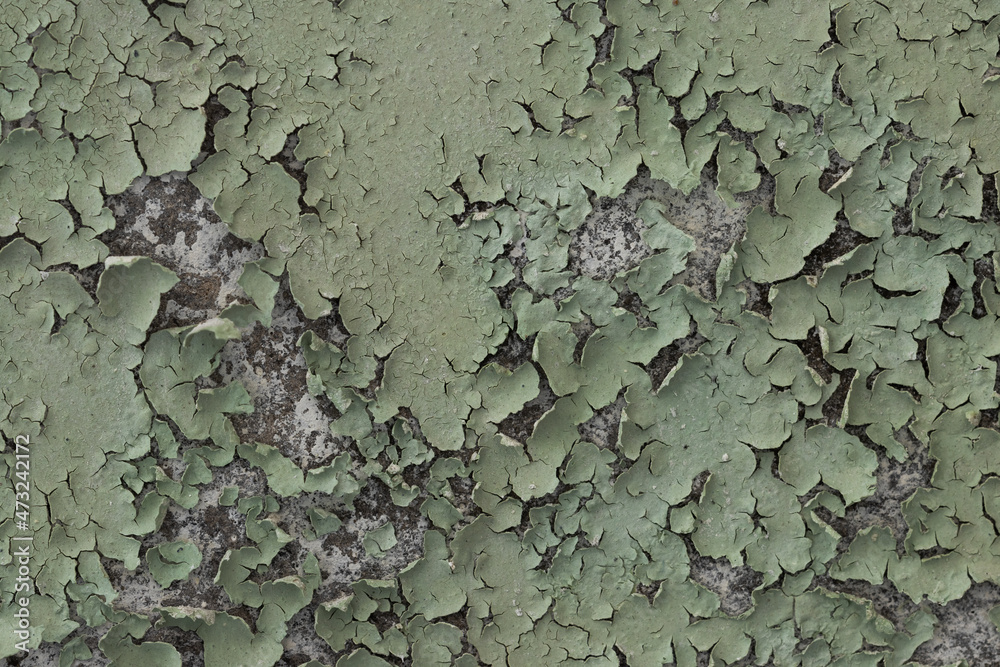Green peeling paint on the wall. Old concrete wall with cracked flaking paint. Weathered rough painted surface with patterns of cracks and peeling. High resolution texture for background and design. Green peeling paint on the wall. Old concrete wall with cracked flaking paint. Weathered rough painted surface with patterns of cracks and peeling. High resolution texture for background and design.