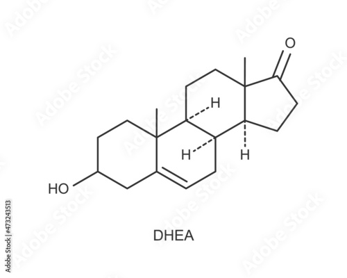 DHEA icon. Dehydroepiandrosterone hormone chemical molecular structure sign isolated on white background. Vector graphic illustration.