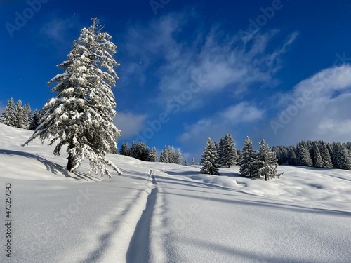 Ski touring trail in peaceful winter landscape deeply covered in snow. Laterns, Vorarlberg, Austria.