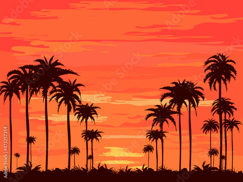 The evening on the beach Summer orange sky and coconut tree shadow