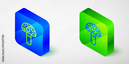 Isometric line Psilocybin mushroom icon isolated on grey background. Psychedelic hallucination. Blue and green square button. Vector