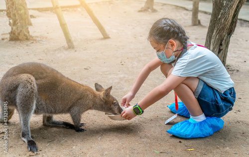 Asian child girl is feeding a Wallaby in the zoo, child wearing medical face mask, side view image, have plastic protection for shoes. Concept for traveling in time of covid-19 spreading.