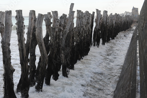 Protection from the waves or breakwater fence made with wooden logs or poles at the seashore in Saint-Malo, Brittany, Bretagne, France, Atlantic coastline