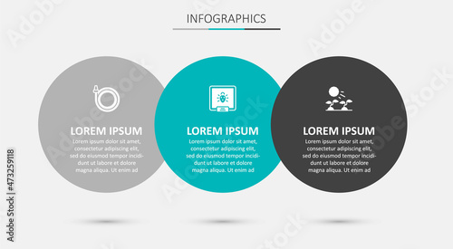 Set Colorado beetle, Garden hose and Plant sprouts grow in the sun. Business infographic template. Vector