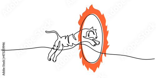 Continuous one single line of big tiger jumping through fire circle isolated on white background.