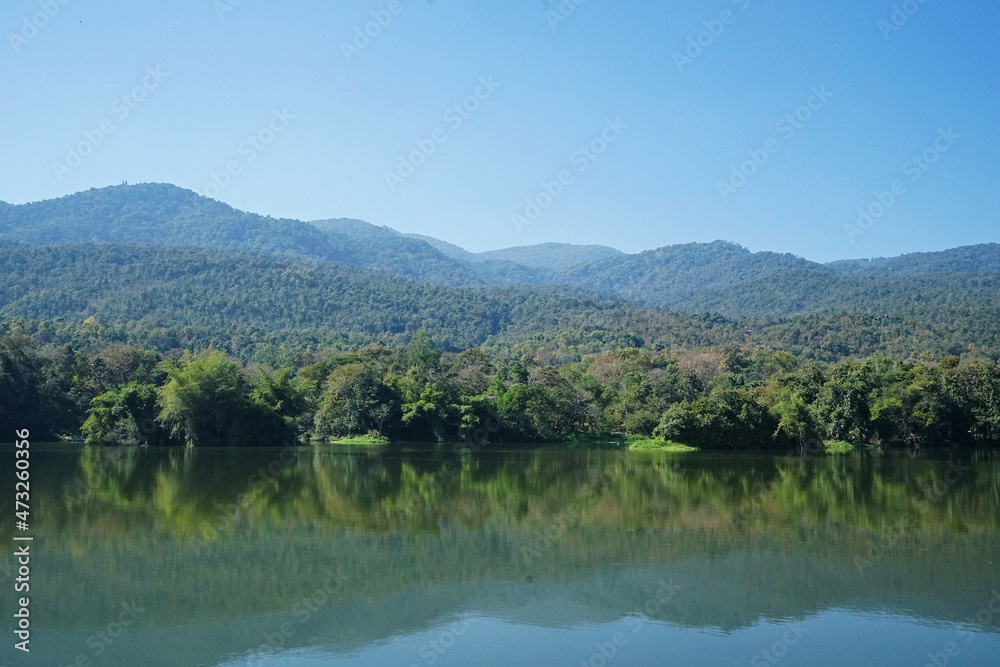 Natural landscape of crystal clear pond with blue sky and green garden patio