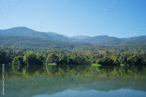 Natural landscape of crystal clear pond with blue sky and green garden patio