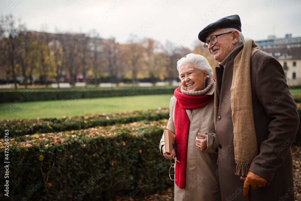 Fototapeta premium Happy senior friends on walk outdoors in town park in autumn, holding and laughing.