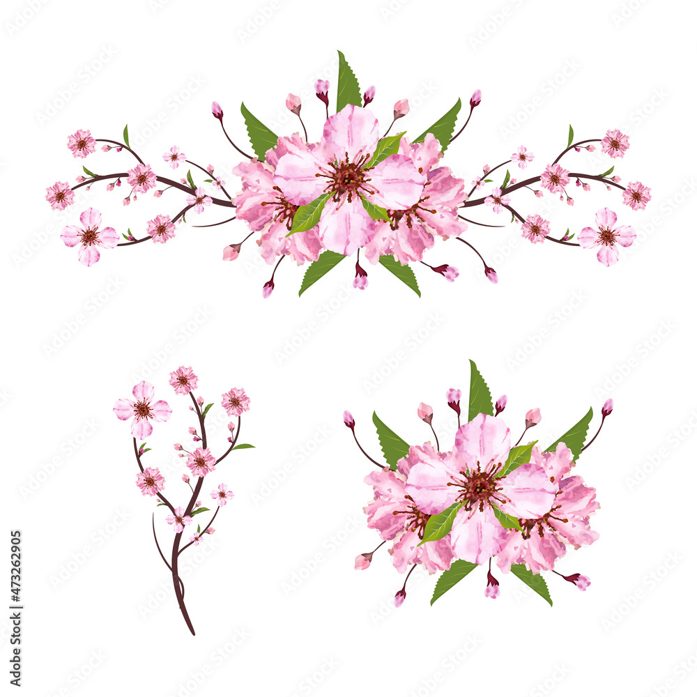 Set of Sakura blossom branch. Falling petals, flowers. Isolated flying realistic japanese pink cherry or apricot floral elements fall down vector background. Cherry blossom branch, flower petal