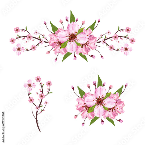 Set of Sakura blossom branch. Falling petals, flowers. Isolated flying realistic japanese pink cherry or apricot floral elements fall down vector background. Cherry blossom branch, flower petal © Pavel