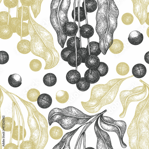 Hand drawn macadamia branch and kernels seamless pattern. Organic food vector illustration on white background. Retro nut illustration. Engraved style botanical background.