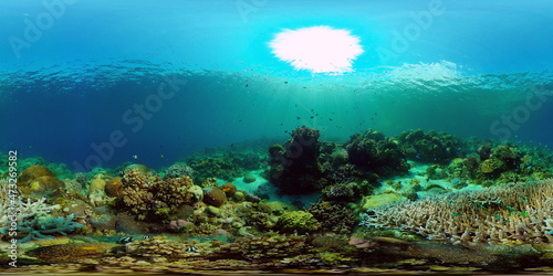 Underwater Scene Coral Reef. Coral Reefs Seascape. Underwater sea fish. Tropical fish reef marine. Philippines. Virtual Reality 360. © Alex Traveler