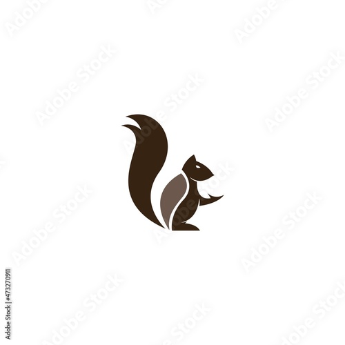 Squirrel logo vector icon design illustration