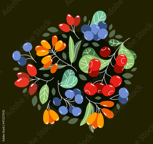 Wild berries fresh and ripe tasty healthy food vector flat style illustration over dark background, delicious vegetation diet eating, organic food.
