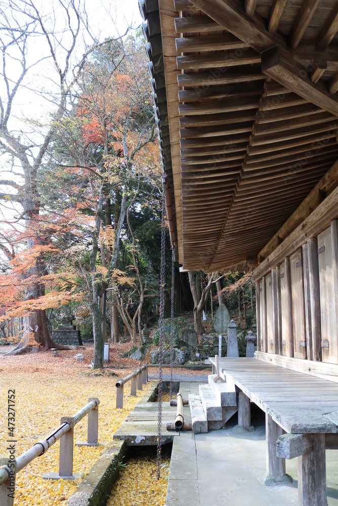 Fototapeta premium 古寺と紅葉