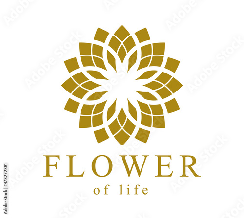 Flower of Life esoteric sacred geometry ancient symbol isolated on white background, best for boutique or hotel or spa or beauty salon logo or emblem.