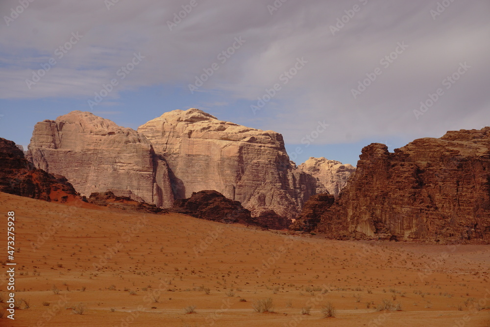 red relief weathered mountains in the Wadi Rum desert, dry bushes grow in a sandy valley, Jordan