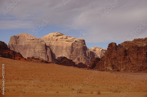 red relief weathered mountains in the Wadi Rum desert  dry bushes grow in a sandy valley  Jordan