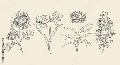 Foto Set of hand drawn garden flowers