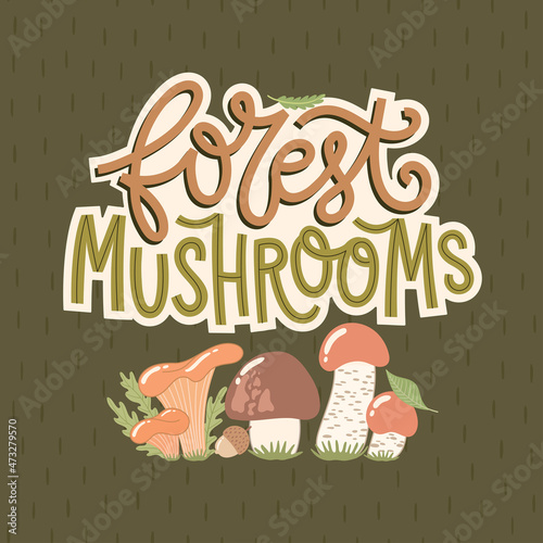 Forest Mushrooms text. Hand-drawn trendy lettering with wild mushrooms, plants and leaves. Colorful seasonal vector illustration. Creative stylish design.