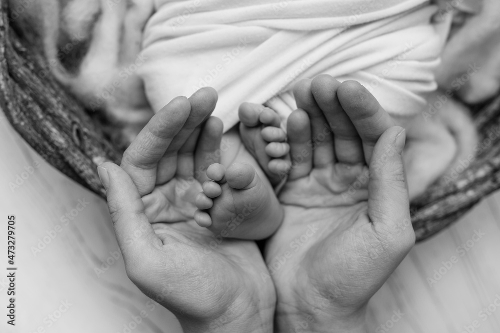 The palms of the father, the mother are holding the foot of the newborn baby. Feet of the newborn on the palms of the parents. Studio photography of a child's toes, heels and feet. Black and white. The palms of the father, the mother are holding the foot of the newborn baby. Feet of the newborn on the palms of the parents. Studio photography of a child's toes, heels and feet. Black and white.