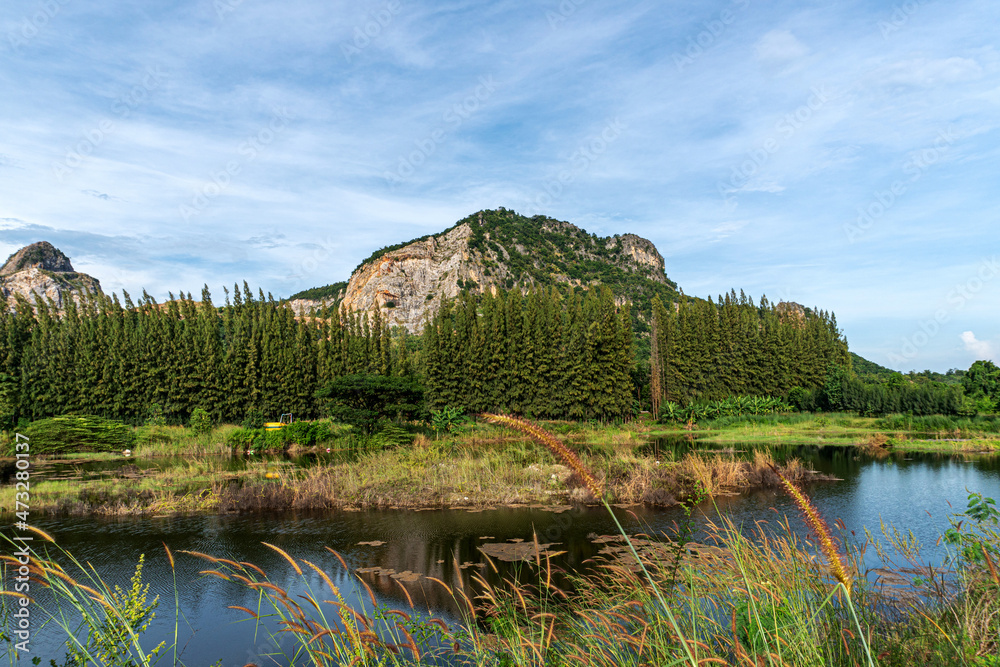 Fototapeta premium forest with trees, marshes, high mountains, and beautiful skies. nature and environment are plentiful. natural background.