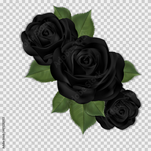 Black roses vector PNG