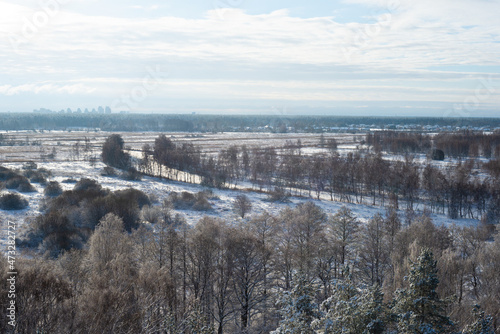 Beautiful panorama view of snowy spruce on a winter day. Fabulous nature wallpaper, Christmas beauty.