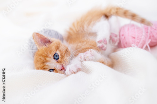 Cute red kitten Cat sleeping with pink and grey balls skeins of thread in basket on white bed.