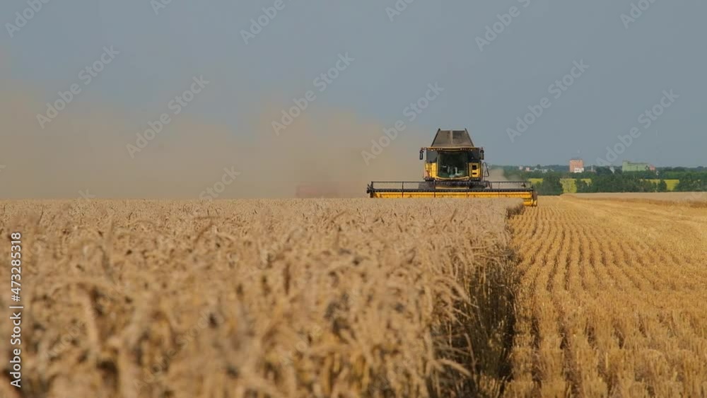 harvesting wheat by combines in the field harvesting wheat by combines in the field