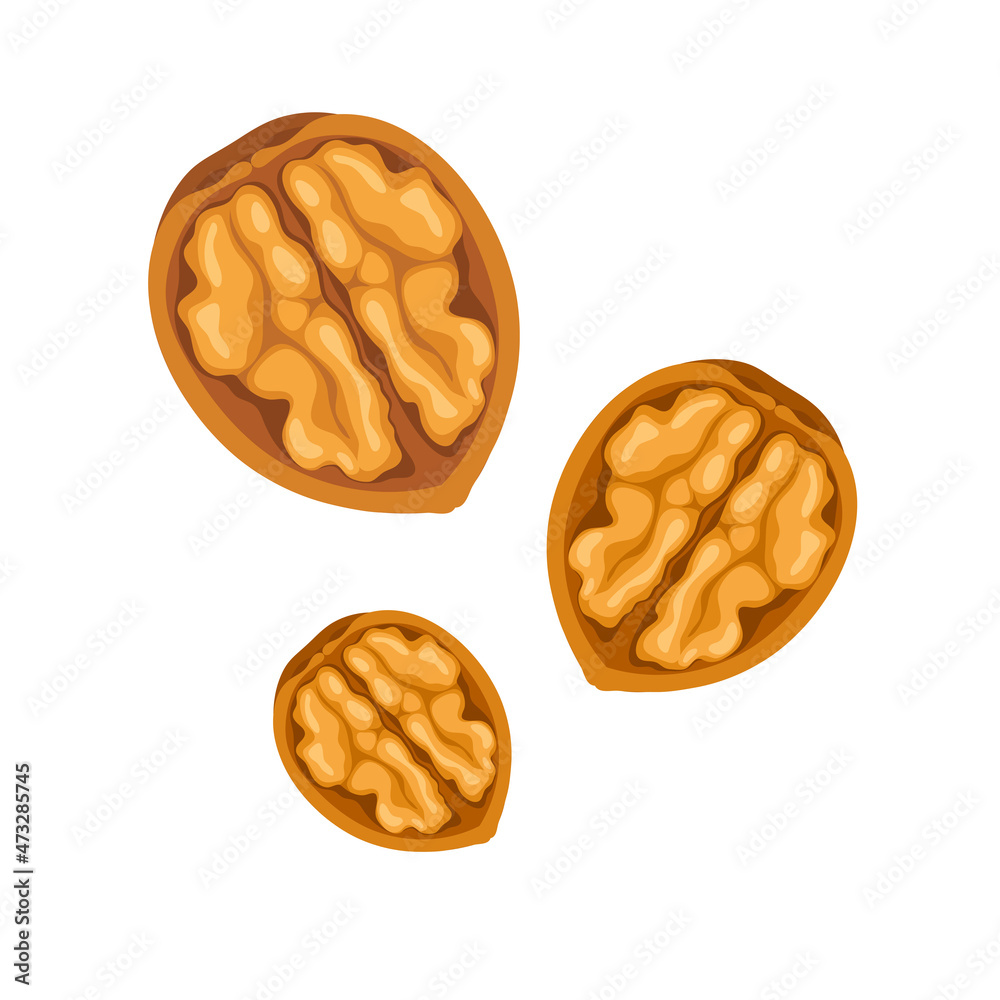 walnuts in shell walnuts in shell