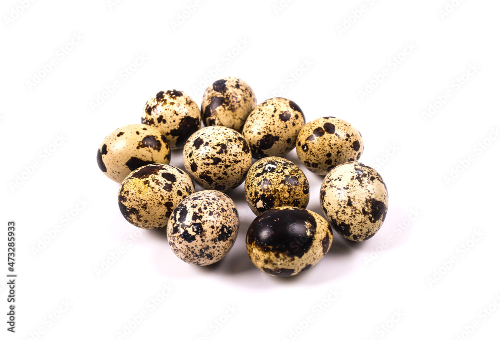 quail eggs on a white background quail eggs on a white background