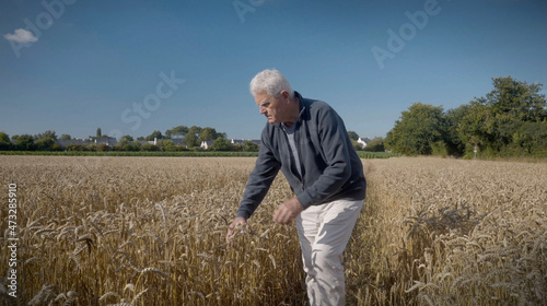 senior man in a wheat field in summer © goodluz