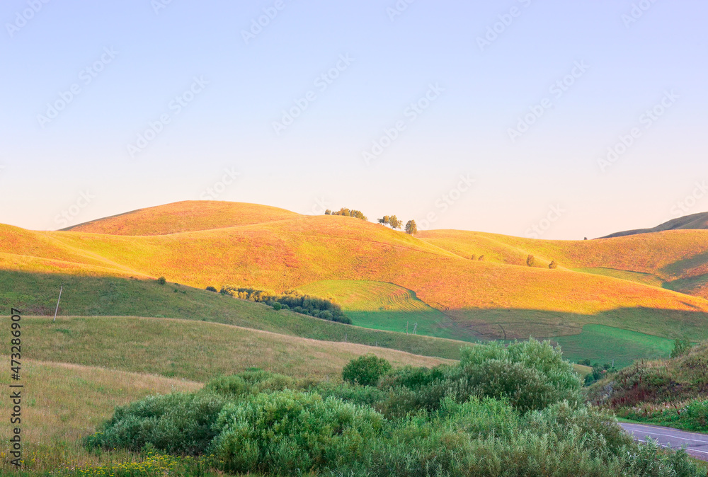 Obraz premium Undulating hills of the Altai Territory
