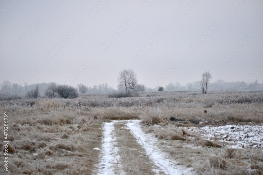 Early winter. Rural road paved through the field. Early winter. Rural road paved through the field.