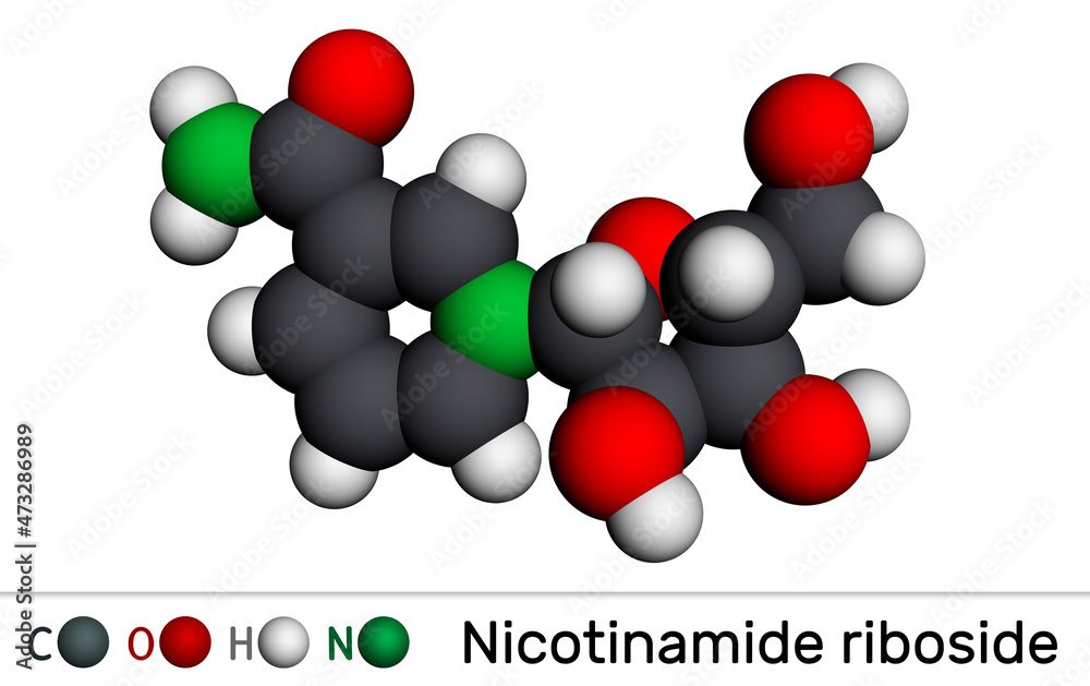 Nicotinamide riboside, NR, SR647 molecule. It is iN-glycosylnicotinamide, pyridine nucleoside similar to vitamin B3. Molecular model. 3D rendering. Nicotinamide riboside, NR, SR647 molecule. It is iN-glycosylnicotinamide, pyridine nucleoside similar to vitamin B3. Molecular model. 3D rendering.