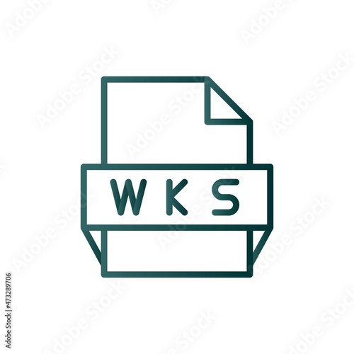 Wks Line Gradient Vector Icon Design photo