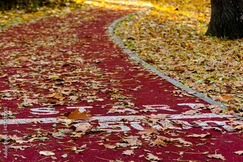 Bilde på lerret Yellow leaves cover the running path of Liget in Szeged
