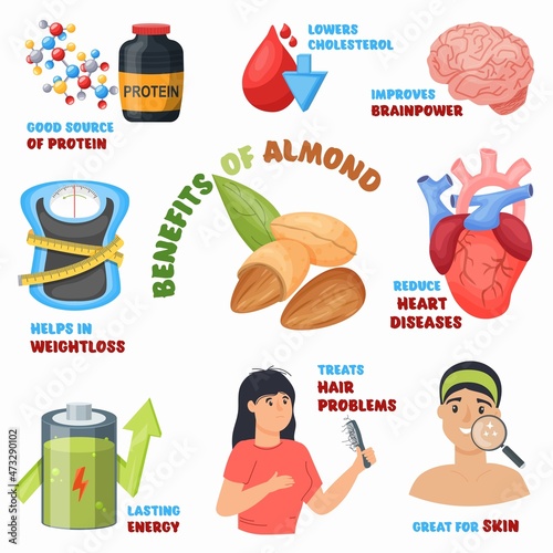 Almond nuts benefits advertising poster. Superfood rich of healthy unsaturated fats, vitamins. Vector illustration.