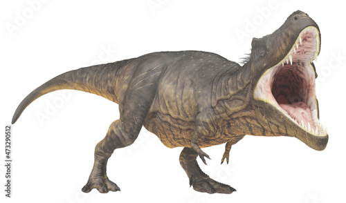 Tyrannosaurus Rex, Freisteller © Michael Rosskothen