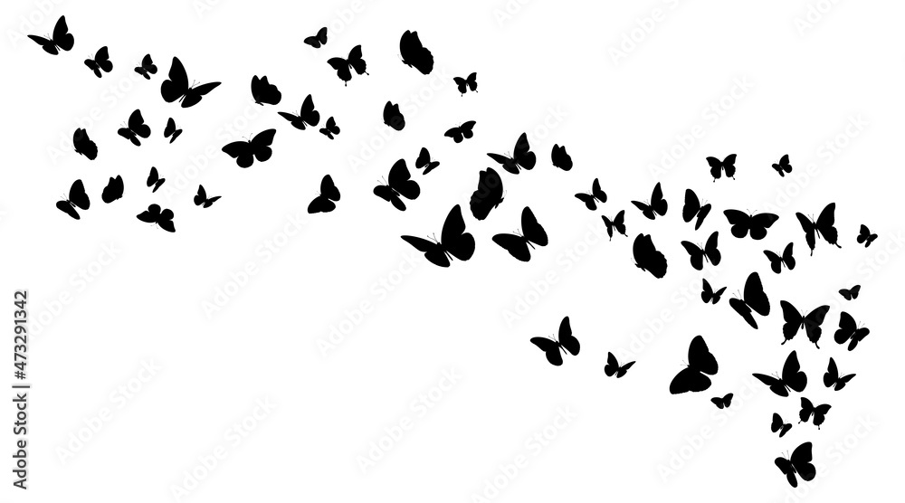 Obraz premium Flying black silhouettes of butterflies. Design element illustration 