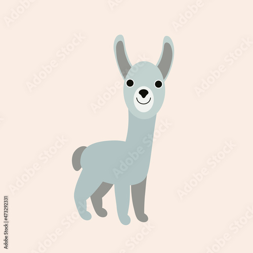 Vector isolated illustration with cute gray lama  baby alpaca in flat simple style on beige background. Children s  color picture  hand-drawn gentle print. Cartoon kind  funny  smiling animals. 