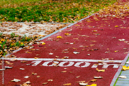 Bilde på lerret Yellow leaves cover the running path of Liget in Szeged