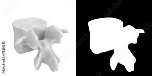 3D rendering illustration of a stylized human lumbar vertebra anatomy photo